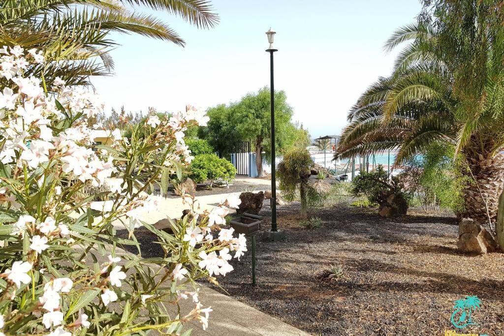 Appartement Bouganville Rez-De-Chaussee Wifi Costa De Antigua Luaran gambar