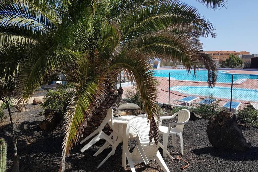 Appartement Bouganville Rez-De-Chaussee Wifi Costa De Antigua Luaran gambar